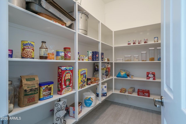 view of pantry