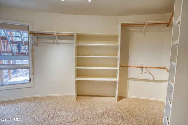 spacious closet featuring carpet