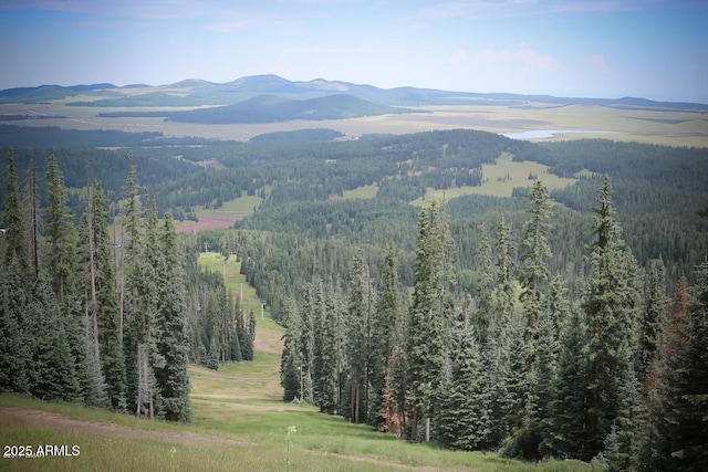 mountain view featuring a forest view