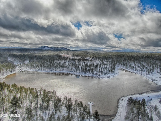 aerial view with a mountain view