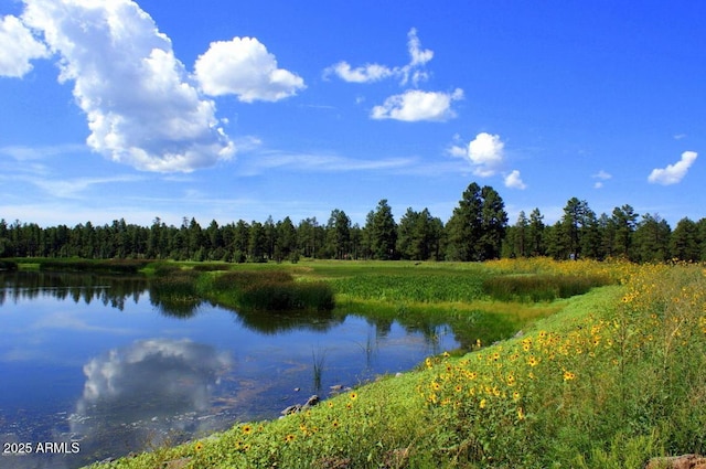 water view featuring a forest view