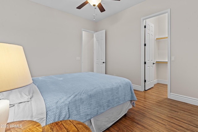 bedroom featuring ceiling fan, wood-type flooring, and a walk in closet