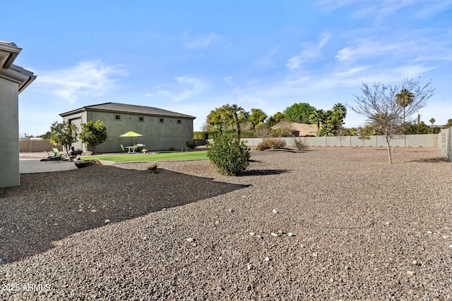 view of yard featuring a patio area