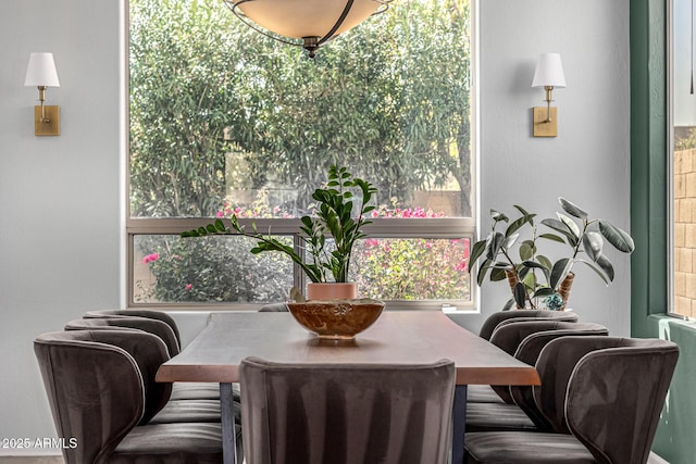 dining room featuring plenty of natural light