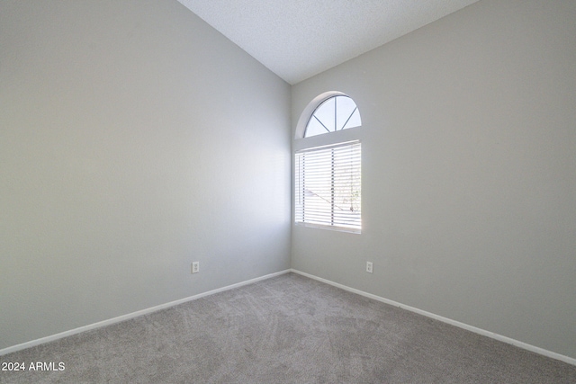 spare room with carpet floors and vaulted ceiling