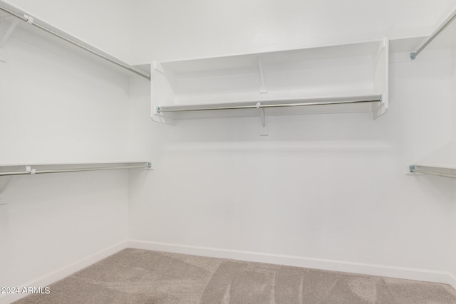 walk in closet featuring carpet flooring