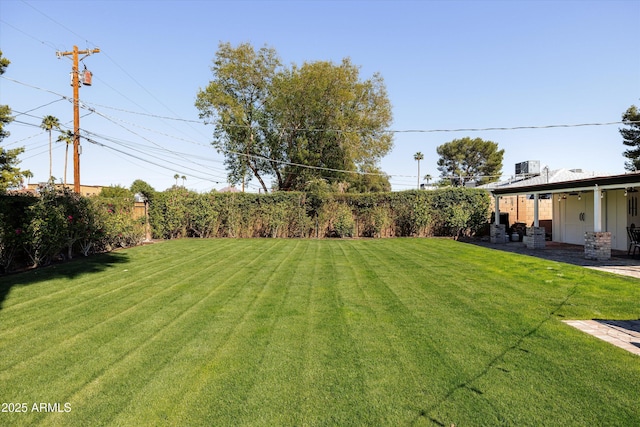 view of yard with a patio area