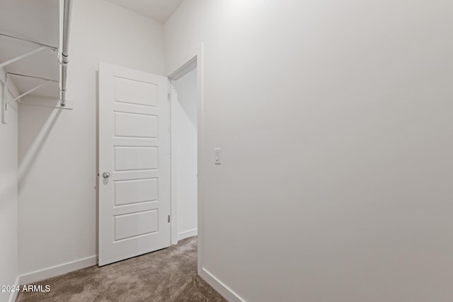 spacious closet with carpet floors