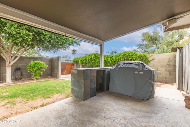 view of patio / terrace featuring a fenced backyard and area for grilling