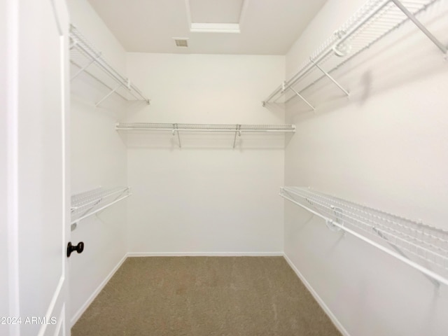 spacious closet with carpet flooring