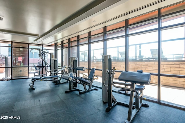 gym with expansive windows