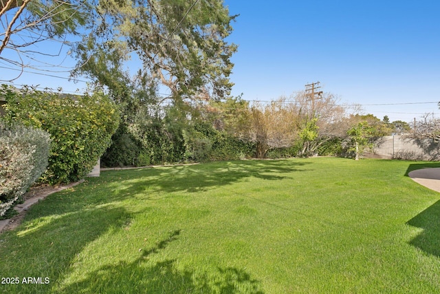 view of yard