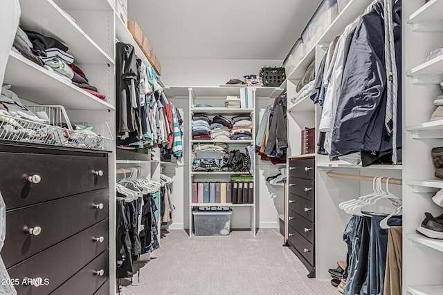 2923 W Shanley Ave, Apache Junction, AZ 85120 - walk in closet featuring carpet flooring