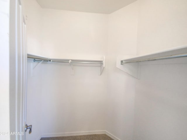 spacious closet featuring carpet floors