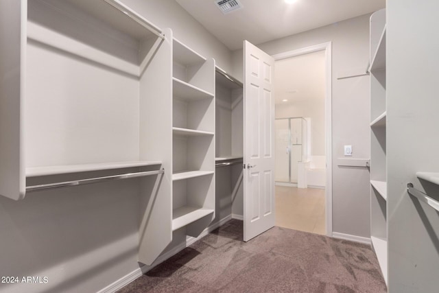 spacious closet with carpet flooring