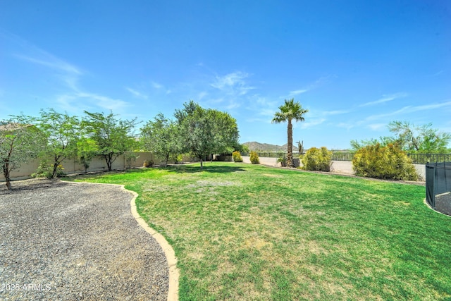 7398 W Paso Trl, Peoria, AZ 85383 - view of fenced backyard