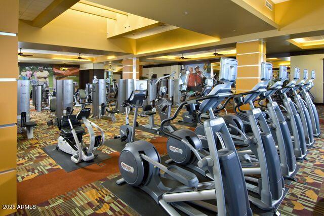 exercise room with ceiling fan and carpet