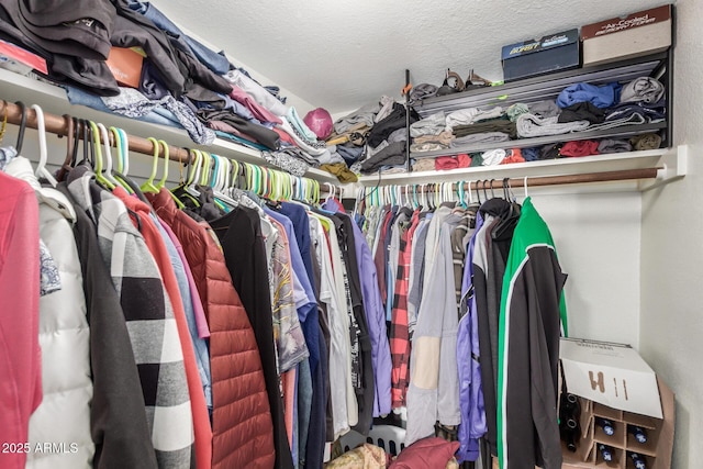 1916 W Morningside Dr Unit 108, Phoenix, AZ 85023 - view of spacious closet