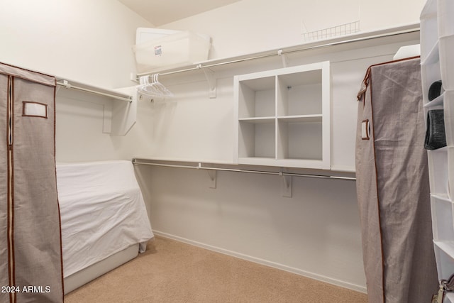 spacious closet with light carpet