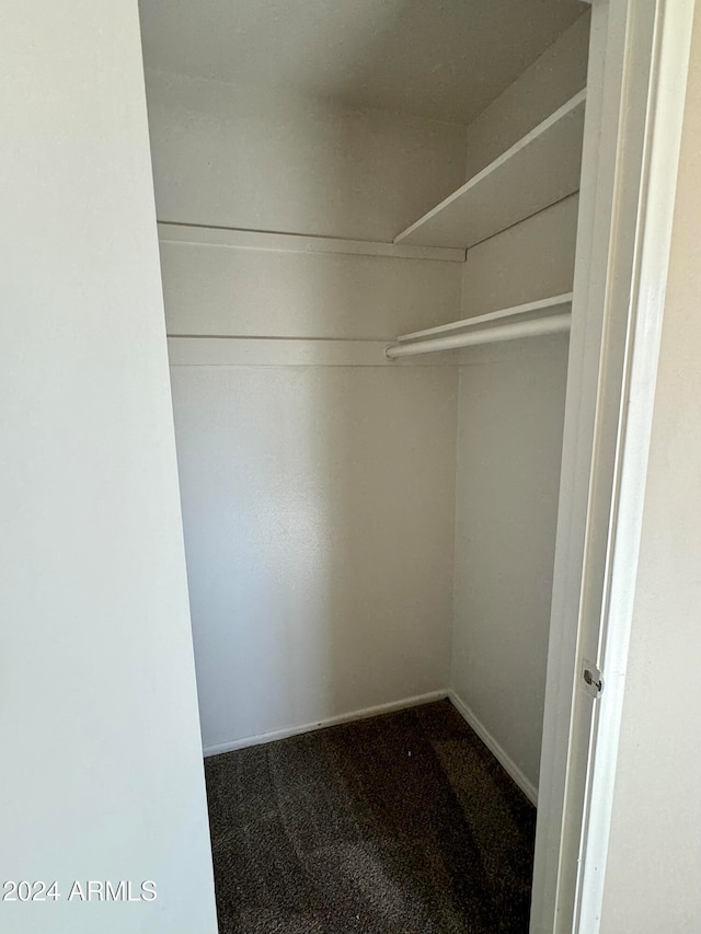 walk in closet with carpet