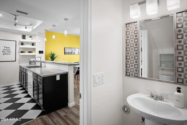 bathroom featuring sink and wood-type flooring