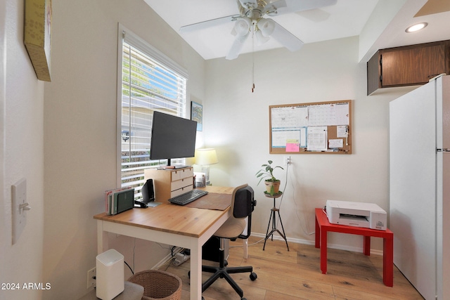 office featuring ceiling fan and light hardwood / wood-style floors