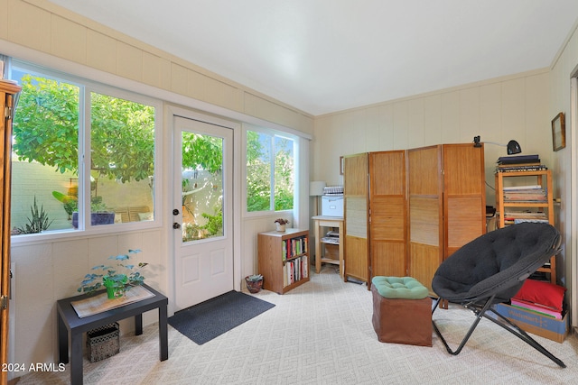 interior space with light colored carpet and ornamental molding