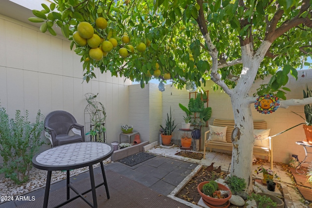 view of patio