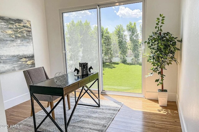 doorway to outside featuring hardwood / wood-style floors