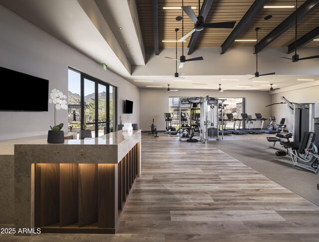 12328 E Black Rock Rd, Scottsdale, AZ 85255 - exercise room featuring french doors, a ceiling fan, a towering ceiling, and wood finished floors