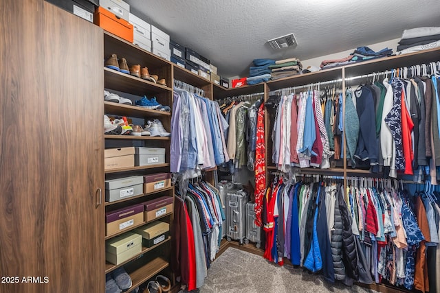 spacious closet with visible vents