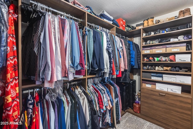 view of walk in closet