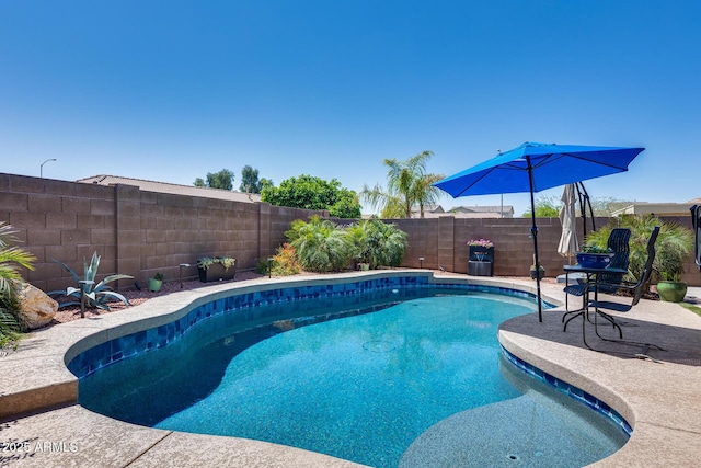 view of pool with a fenced in pool, a patio area, and a fenced backyard