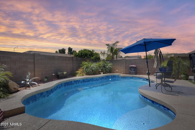 view of swimming pool with a patio area, a fenced backyard, and a fenced in pool