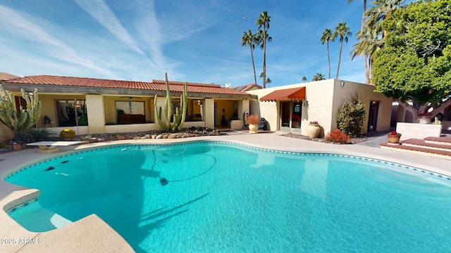 view of pool with a patio area and a diving board