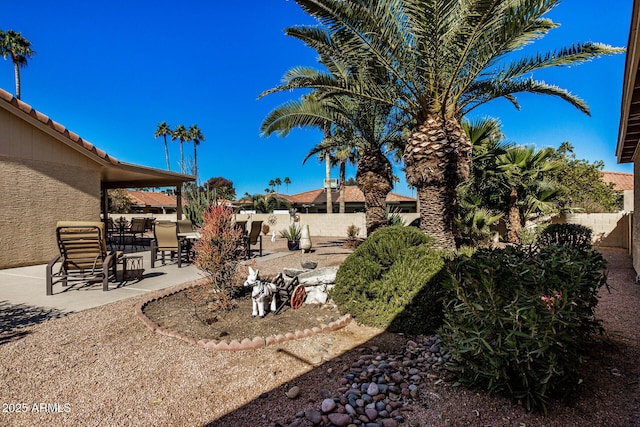 view of yard with a patio