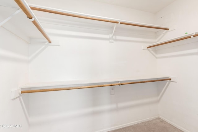 walk in closet featuring carpet floors