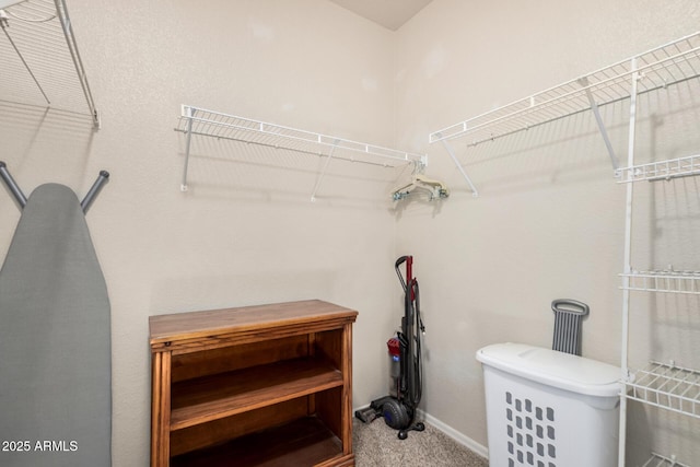 walk in closet featuring carpet flooring