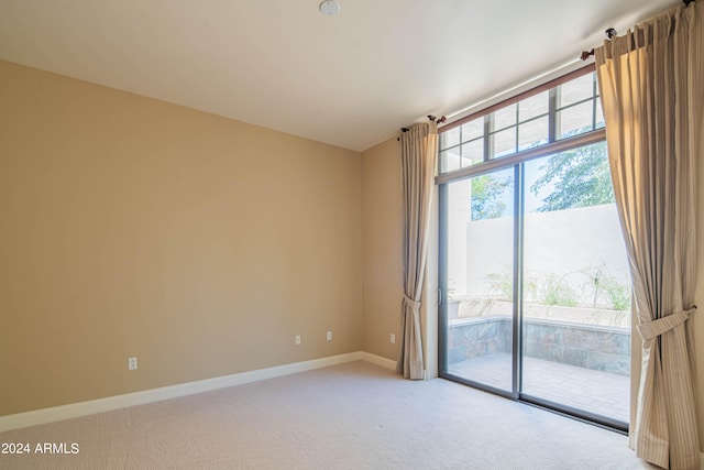 empty room featuring carpet and plenty of natural light