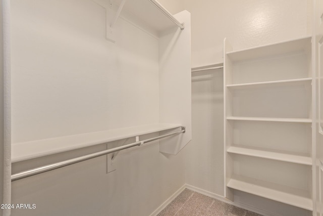 spacious closet with carpet flooring