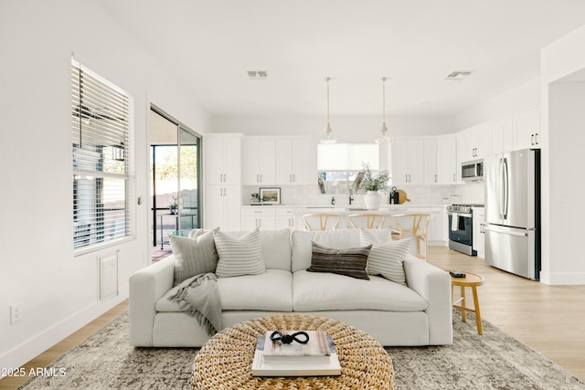 living room featuring light hardwood / wood-style floors