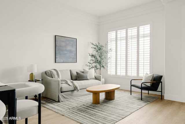 living room featuring crown molding and light hardwood / wood-style floors