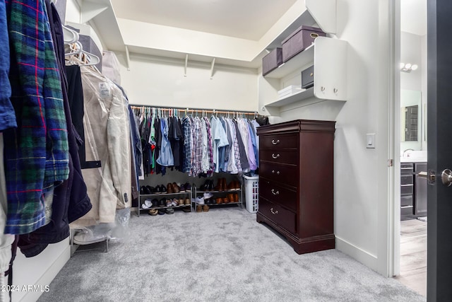 spacious closet featuring light colored carpet and sink