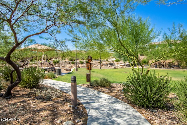 view of community featuring a lawn