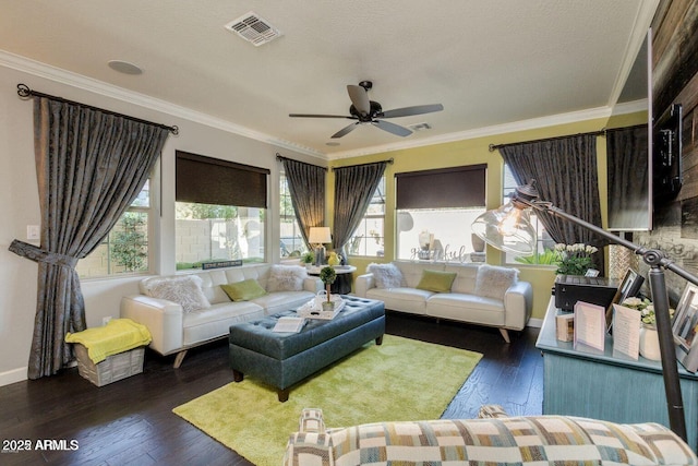 1952 W Yellowstone Way, Chandler, AZ 85248 - living room with crown molding, hardwood / wood-style floors, ceiling fan, and baseboards