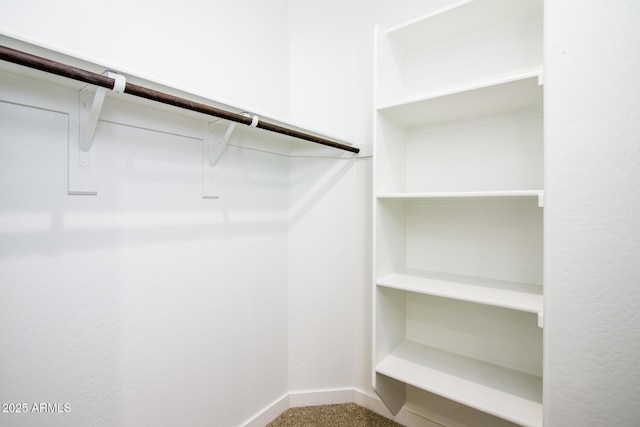4063 E Amoroso Dr, Gilbert, AZ 85296 - spacious closet featuring carpet floors