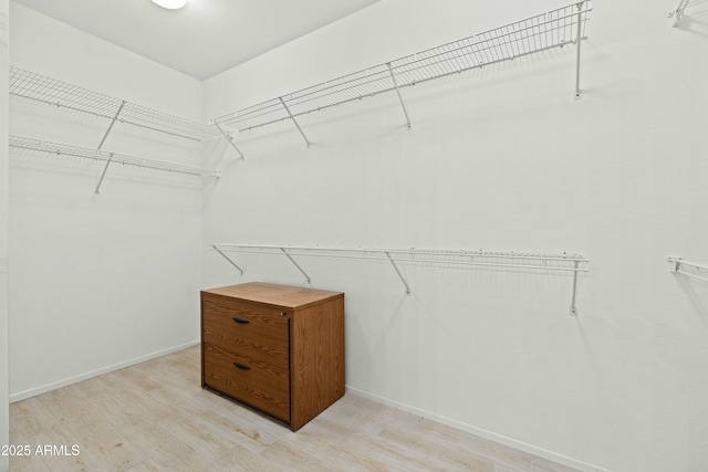 spacious closet featuring light hardwood / wood-style floors