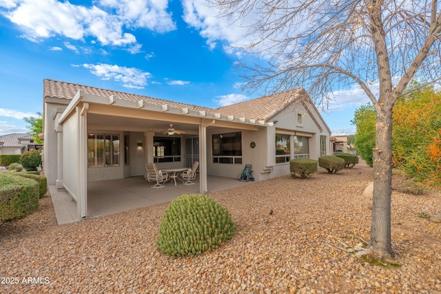 rear view of house with ceiling fan and a patio