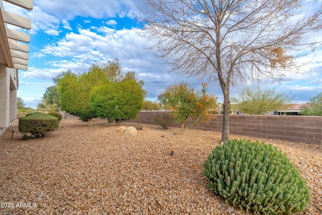 view of yard