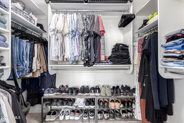 view of spacious closet